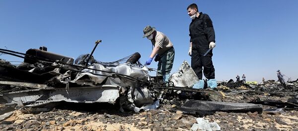 Делови руског авиона који се срушио на Синају Делови руског авиона који се срушио на Синају - Sputnik Србија