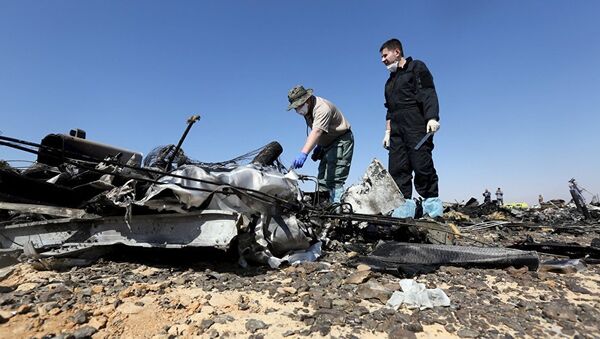 Delovi ruskog aviona koji se srušio na Sinaju - Sputnik Srbija