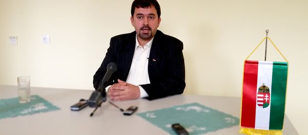 Подпредседник Јобик - а (мађарске десничарске странке) Иштван Саваи - Sputnik Србија