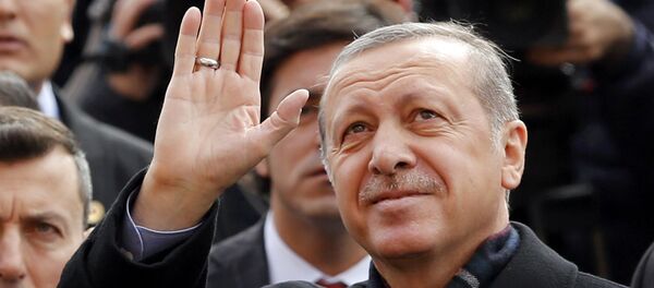 Председник Турске Тајип Ердоган - Sputnik Србија