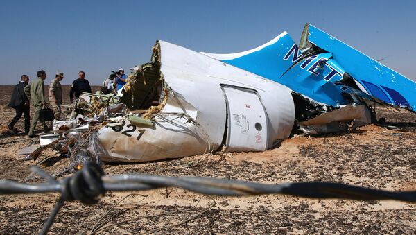 The wreckage of Kogalymavia's Airbus A321 passenger airliner - Sputnik Србија