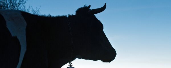 Selo Sčastlivoje na Krimu - Sputnik Srbija