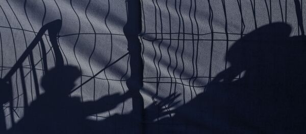 Граница, жица, Словенија - Sputnik Србија