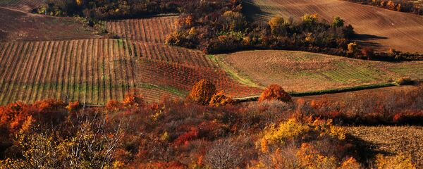 Jesen na Fruškoj Gori Jesen na Fruškoj Gori - Sputnik Srbija