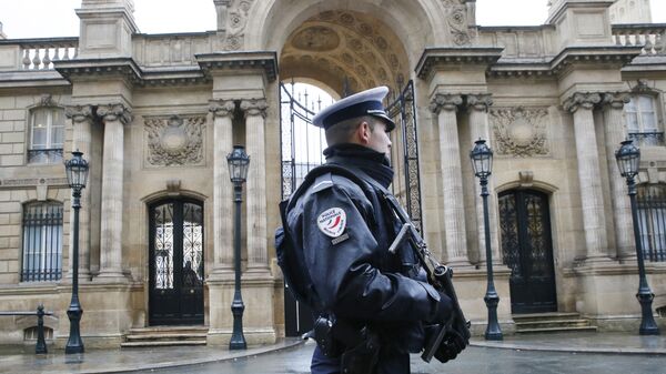 Полицајац испред Јелисејскe палатe у Паризу, Француска - Sputnik Србија
