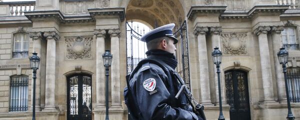 Policajac ispred Jelisejske palate u Parizu, Francuska - Sputnik Srbija
