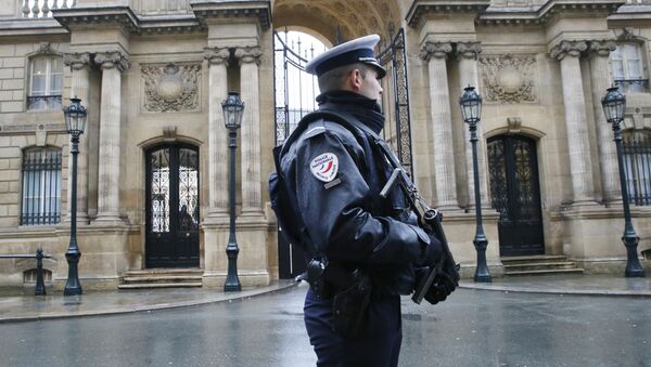 Policajac ispred Jelisejske palate u Parizu, Francuska - Sputnik Srbija