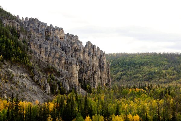 Национални парк „Шумски стубови“ у Јакутији - Sputnik Србија