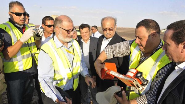 Egipatski premijer Ismail Šerif pored ostataka ruskog aviona nakon što se srušio u centralnom Sinaju - Sputnik Srbija