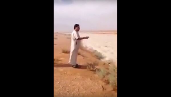 Weird natural phenomenon in Saudi Arabia's Empty Quarter desert - Sputnik Srbija