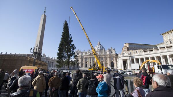 Postavljanje božićnog drva na Trgu svetog Petra u Vatikanu - Sputnik Srbija
