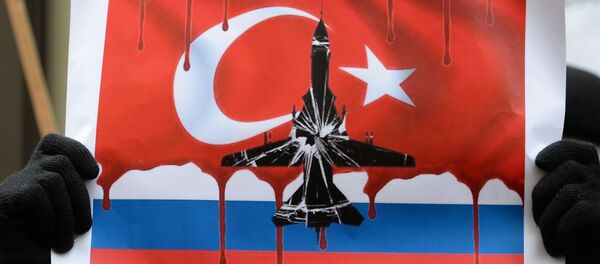 Plakat v rukah mužčinы na akcii protesta v Moskve protiv deйstviй VVS Turcii - Sputnik Srbija