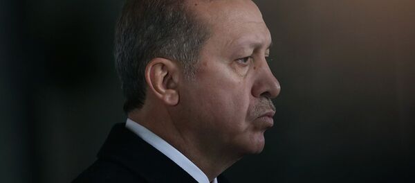 Redžep Tajio Erdogan Redžep Tajio Erdogan - Sputnik Srbija