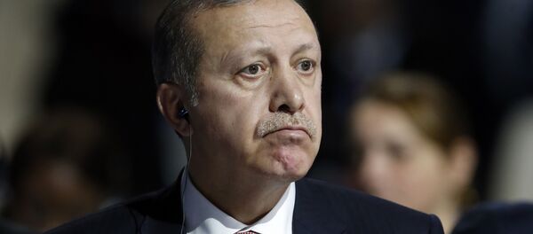 Predsednik Turske Redžep Tajip Erdogan - Sputnik Srbija