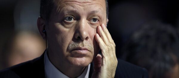 Председник Турске Реџеп Тајип Ердоган - Sputnik Србија