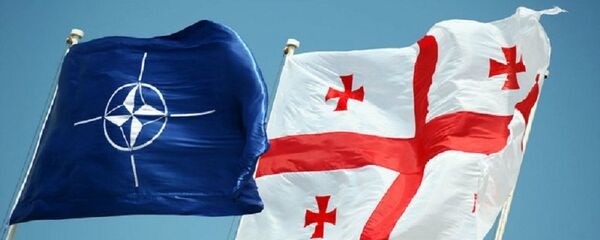 Заставе НАТО-а и Грузије - Sputnik Србија