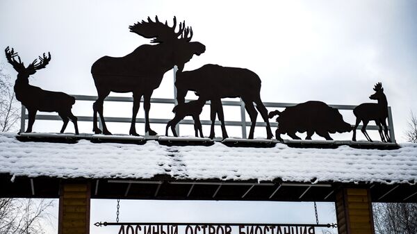 Открытие после реконструкции биостанции в парке Лосиный остров - Sputnik Србија