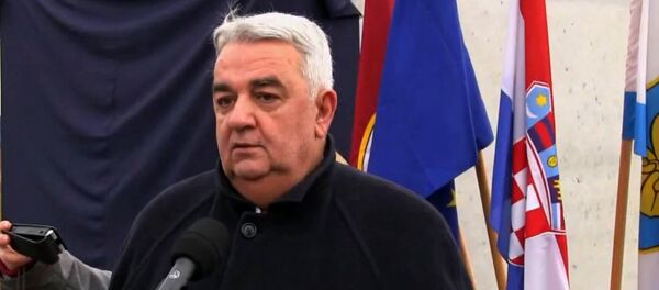 Ivan Zvonimir Čičak - Sputnik Srbija