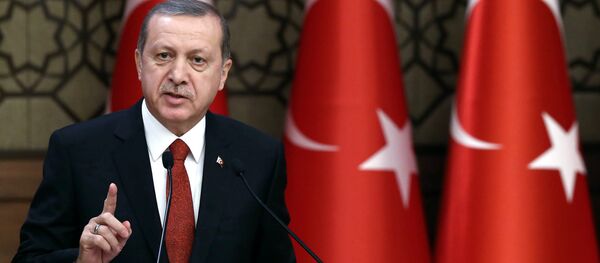 Predsednik Turske Redžep Tajip Erdogan - Sputnik Srbija