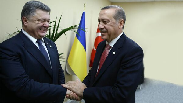 Председник Турске Реџеп Ердоган и председник Украјине Петро Порешенко - Sputnik Србија