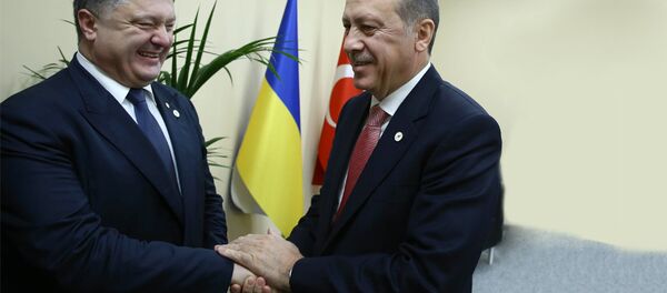 Predsednik Turske Redžep Erdogan i predsednik Ukrajine Petro Porešenko Predsednik Turske Redžep Erdogan i predsednik Ukrajine Petro Porešenko - Sputnik Srbija