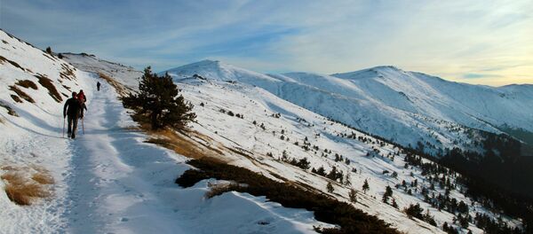 Сенка Сенка - Sputnik Србија