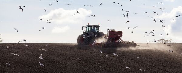 Traktor na njivi Traktor na njivi - Sputnik Srbija
