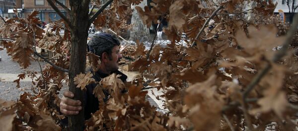 Бадњак - Sputnik Србија