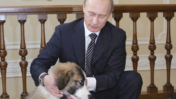 Руски председник Владимир Путин са псом - Sputnik Србија
