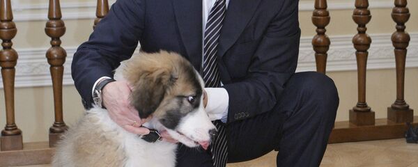 Руски председник Владимир Путин са псом - Sputnik Србија