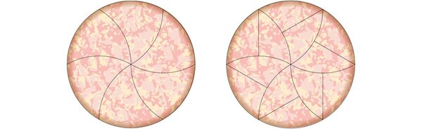 Прецизно сечење пице - Sputnik Србија