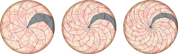 Прецизно сечење пице - Sputnik Србија