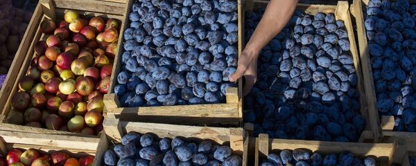 Јабуке и шљиве на руској пијаци - Sputnik Србија