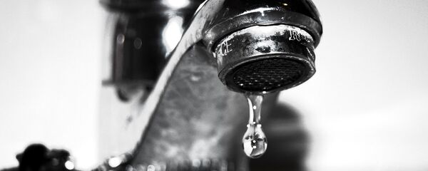 Славина - Sputnik Србија