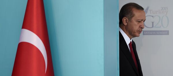 Predsednik Turske Redžep Tajip Erdogan - Sputnik Srbija