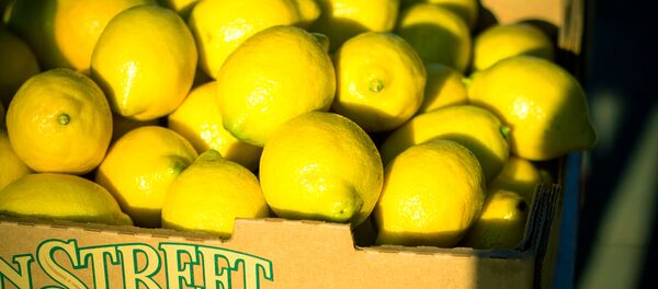 Limun - Sputnik Srbija