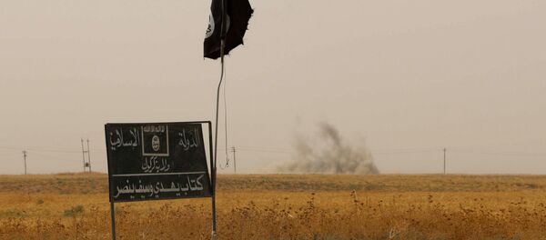 Обележја припадника терористичке огранизације ДАЕШ - Sputnik Србија
