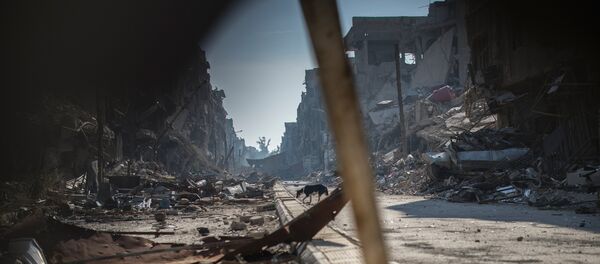 Сирија - Sputnik Србија