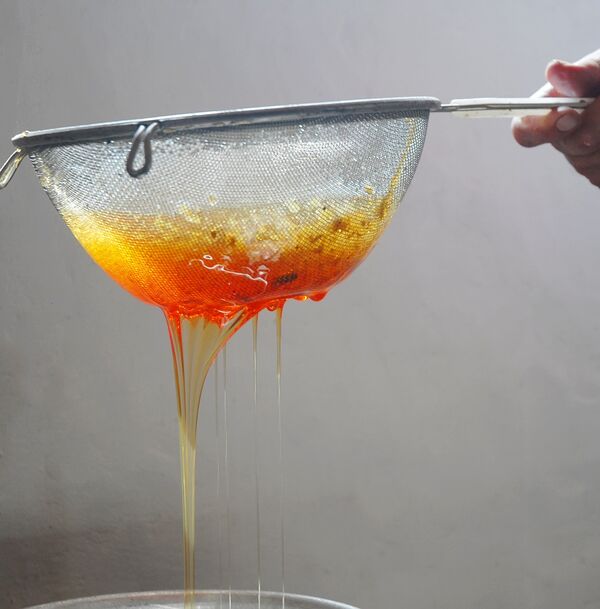 Лечење пчелињим производима је руско Министарство здравља званично признало као грану медицине још 1959. године. Лечење пчелињим производима је руско Министарство здравља званично признало као грану медицине још 1959. године. - Sputnik Србија