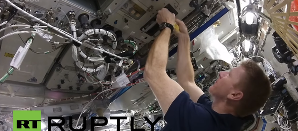 Припрема кајгане у свемиру - Sputnik Србија