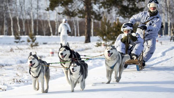 Arktička brigada ruske vojske na vojnoj vežbi - Sputnik Srbija