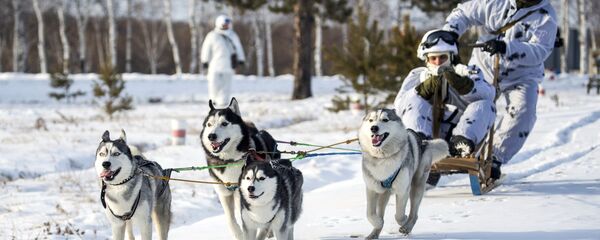 Арктичка бригада руске војске на војној вежби - Sputnik Србија