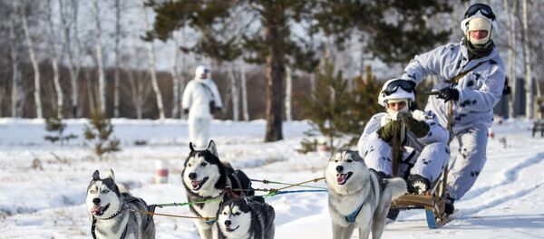 Arktička brigada ruske vojske na vojnoj vežbi - Sputnik Srbija