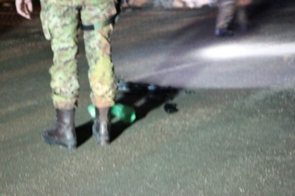 Акција хапшења на Косову - Sputnik Србија