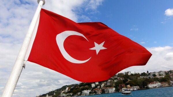 Турска застава, иза које се види Истанбул - Sputnik Србија