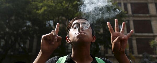 Čovek zapalio džoint na demonstracijama za legalizaciju marihuane Čovek zapalio džoint na demonstracijama za legalizaciju marihuane - Sputnik Srbija