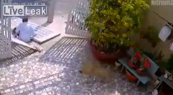 Would Be Thief Drops the Front Gate on his Leg Breaking his Ankle ! - Sputnik Србија