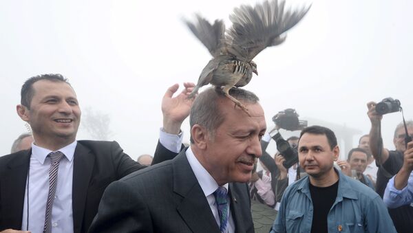 Turski predsednik Redžep Tajip Erdogan u nezgodnoj situaciji. - Sputnik Srbija