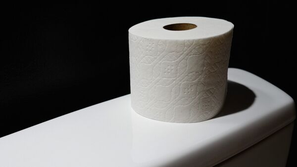 Toalet papir - Sputnik Srbija