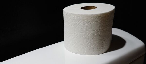 Тоалет папир Тоалет папир - Sputnik Србија